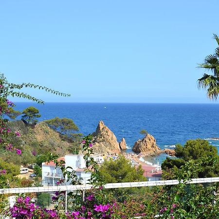 Blanca Paloma - Holiday House Villa Tossa de Mar Phòng bức ảnh