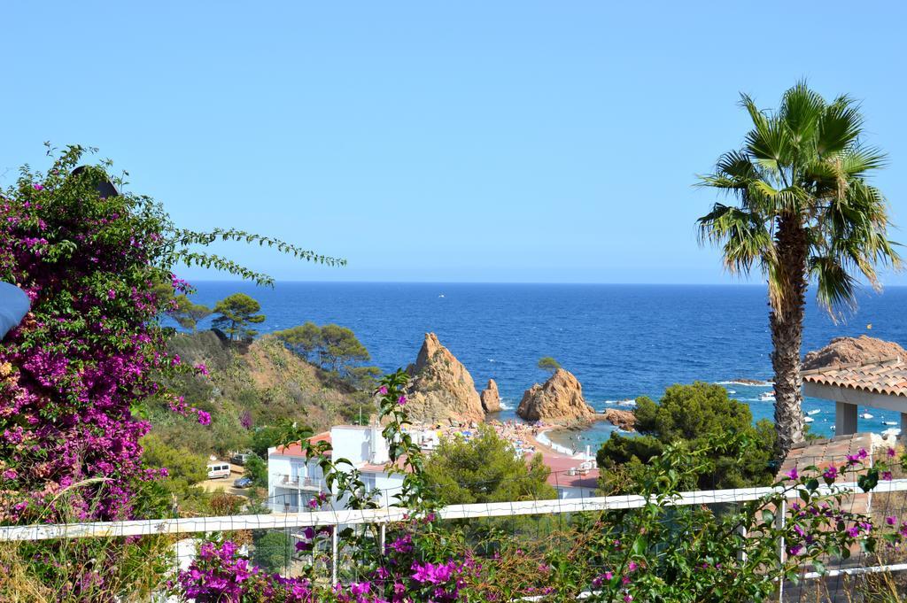 Blanca Paloma - Holiday House Villa Tossa de Mar Phòng bức ảnh